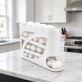 Porta Ovos Organizador para Geladeira